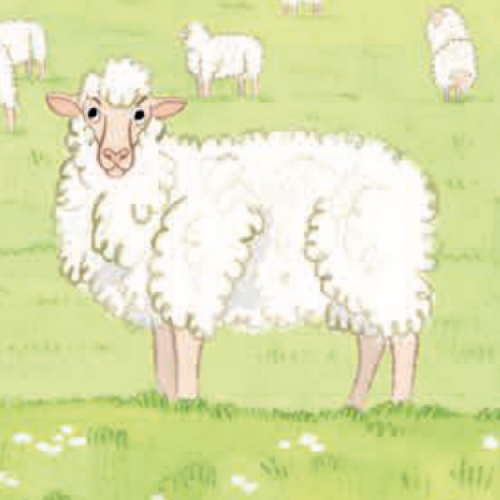 Ovinius Sheep